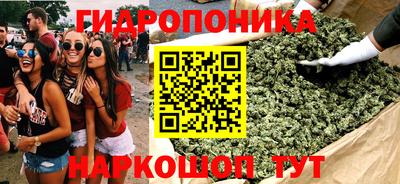 дмт Обь