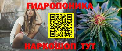 гашиш Новокубанск
