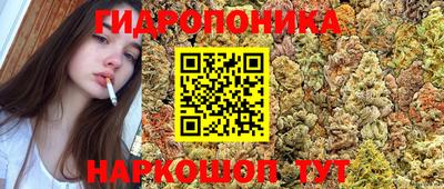 эйфоретик Новодвинск