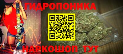 гашиш Новокубанск