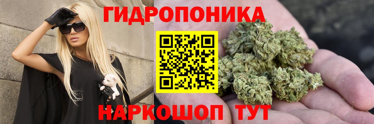 Марихуана конопля  Конопля планчик  Пушкино  Марихуана гибрид  Вход с VPN 